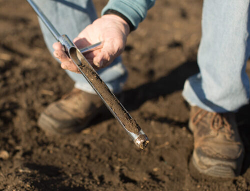 BEMONSTEREN OP HET JUISTE MOMENT