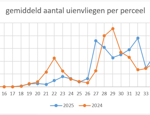 Terugblik uienvliegseizoen 2025